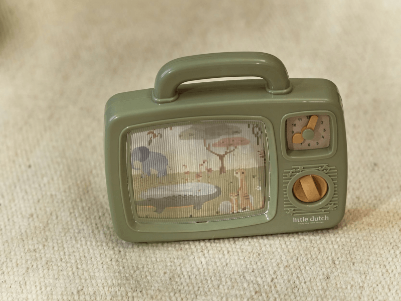 Hudobná televízia Safari Friends