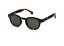 #C Slnečné okuliare pre dospelých IZIPIZI rôzne farby - IZIPIZI farby: TORTOISE GREEN LENSES