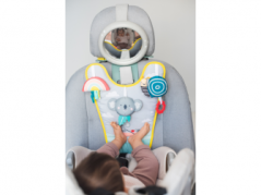 Koala-Auto-Spielbrett