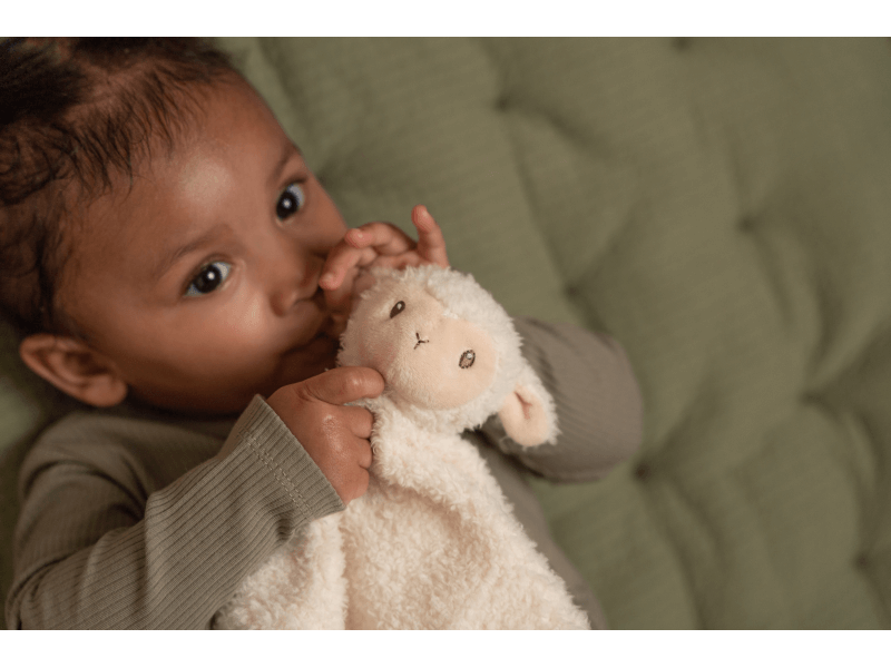 Little Dutch Pet Sheep Farm