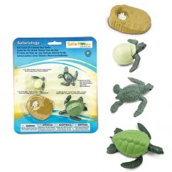 Safari Ltd. Lebenszyklus Meeresschildkröte