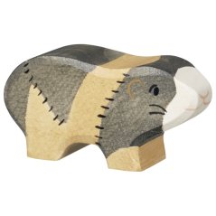 Meerschweinchen