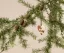 Weihnachtsdekoration - Herz klein in verschiedenen Farben Maileg