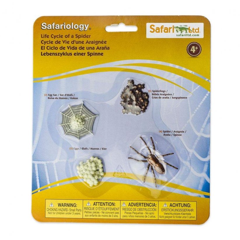 Safari Ltd. Life Cycle Spider