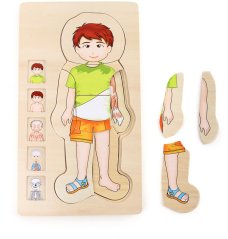 Puzzle anatomie chlapec