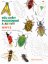 Mein Insektenbeobachtungs- und Aktivitätsbuch