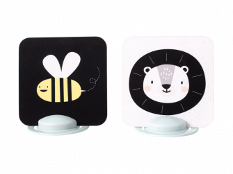 Ein Kartenset für das Bauchspiel