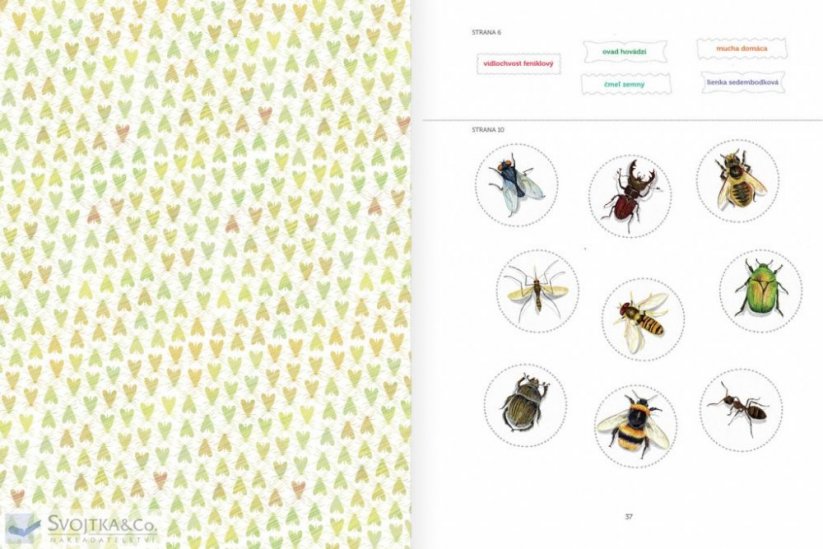 Mein Insektenbeobachtungs- und Aktivitätsbuch