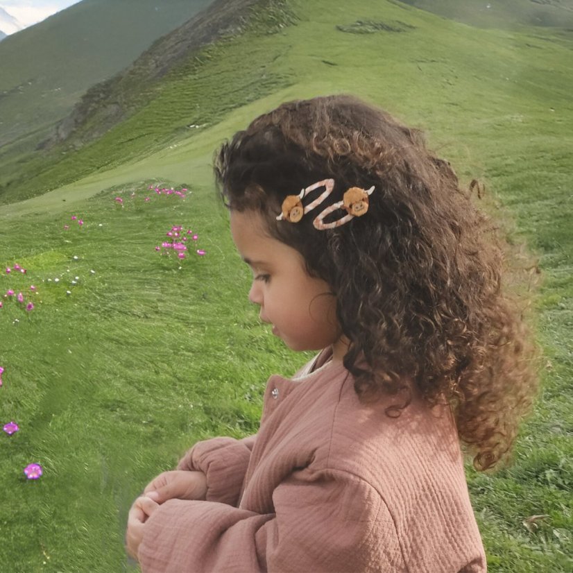 Clips klicken - klack Hettie Highland Cow