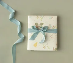 Baliaci papier Have a mice day - 10 M Maileg