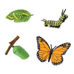Safari Ltd. Lebenszyklus Schmetterling