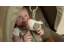 Little Dutch Vibrationsspiel Farm