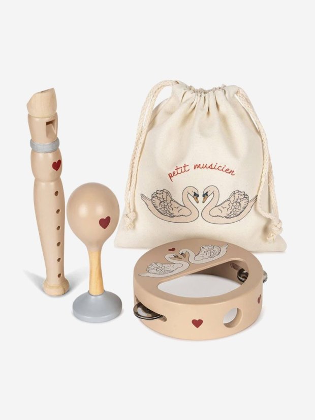 Ein Satz Musikinstrumente in einer Schwanentasche