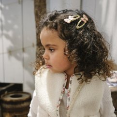 Clips klicken - klack Patchwork Butterfly