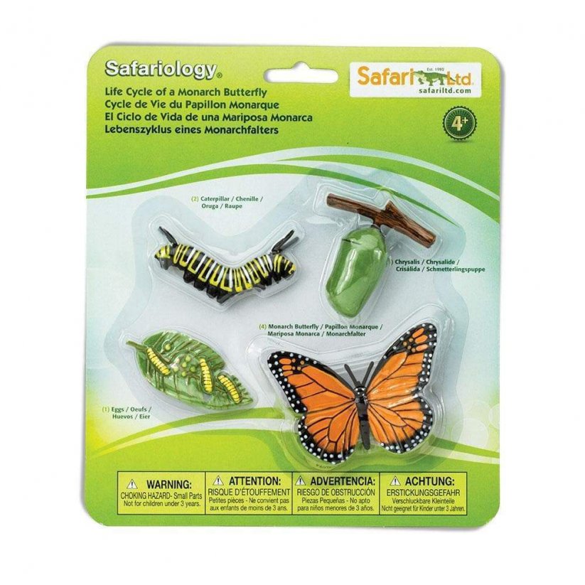 Safari Ltd. Lebenszyklus Schmetterling