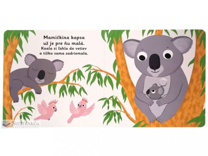 MiniPÉDIA Dobrú noc, koala!