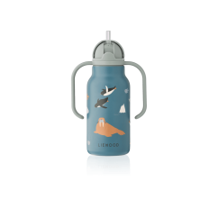 Termofľaša Kimmie Arctic Sea / Ocean view 250ml