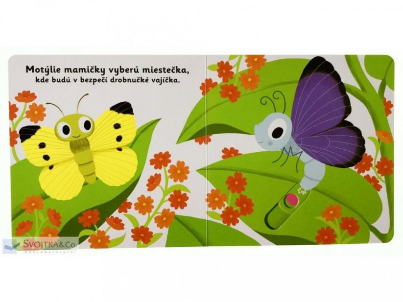 MiniPÉDIA – Dobrý deň, motýlik!