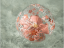 Little Dutch Aufblasbarer Ball 3D Rosa Blumen