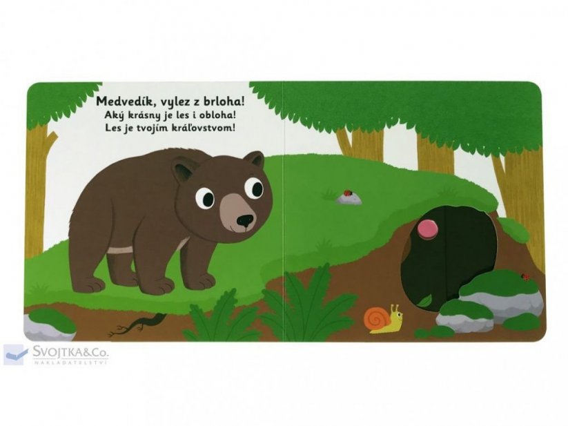 MiniPÉDIA – Dobrý deň, medvieďa!