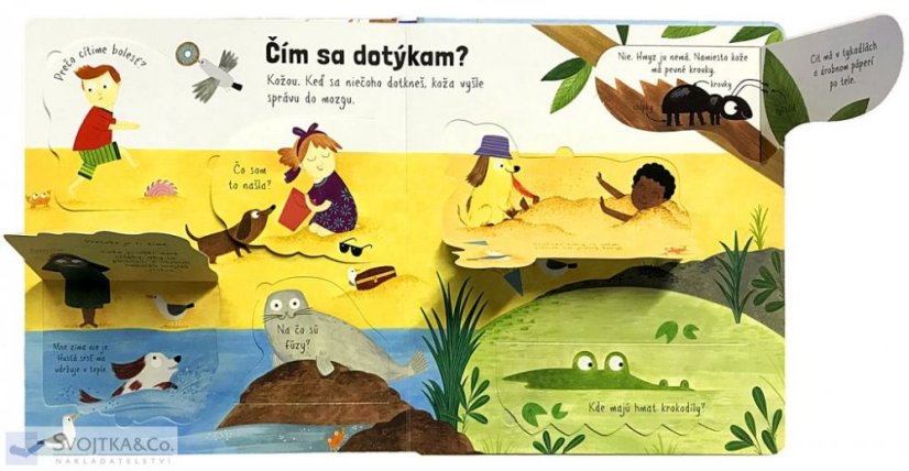 Wie kommt es, dass ich sehen kann? - Erste Fragen und Antworten