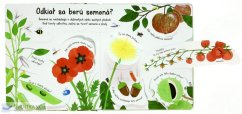 Wie wachsen Blumen?