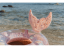 Nafukovací kruh 91 cm Dreamy Mermaid