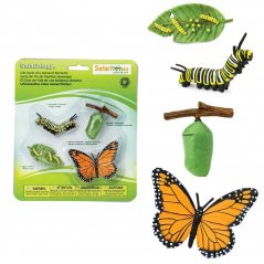 Safari ltd Životní cyklus Motýl