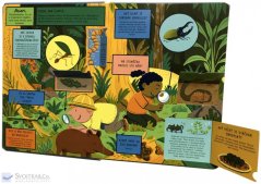 Leben im Dschungelland – 100 Fragen und 70 Fenster