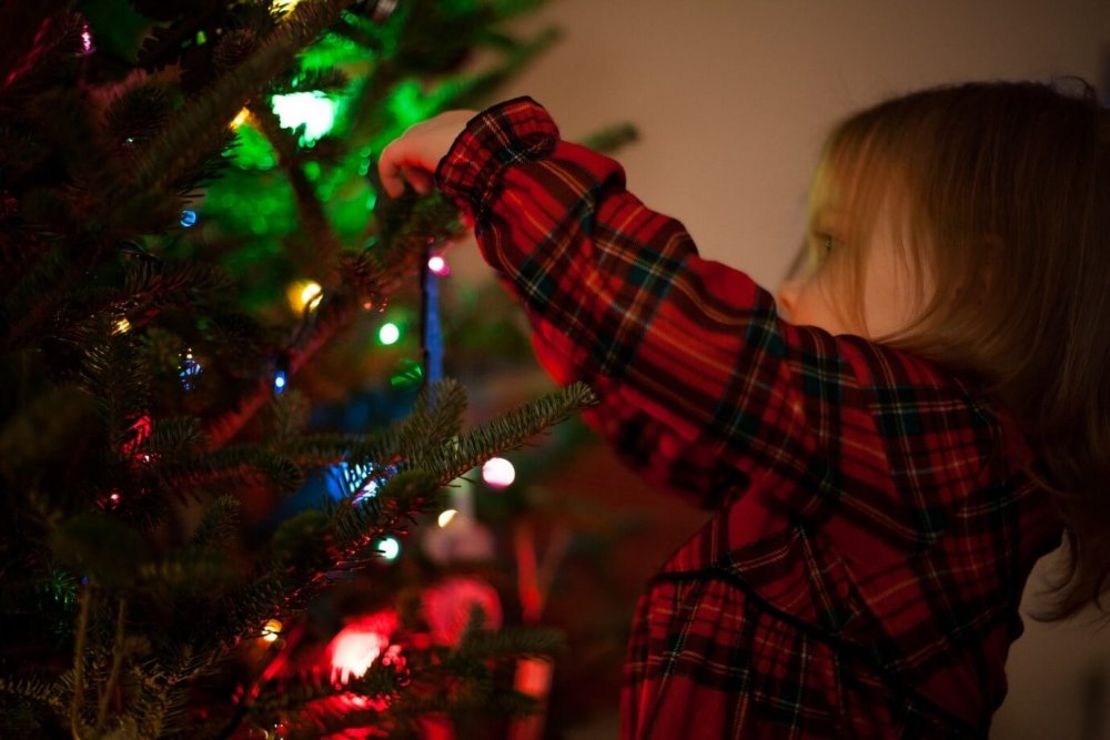 roztomily-vianocny-strom-dieta